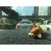 ราคา พวงกุญแจหมาชิบะ (3639251)