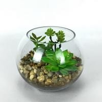 ราคา สวนโหลแก้ว เทอราเรี่ยม กระถางแคคตัสปลอม (23423264064)