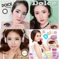 ราคา Dolce ( Ivy ) Pitchylens Wink lens brown gray black Contactlens  บิ๊กอาย คอนแทคเลนส์ ราคาถูก แถมตลับฟรี (4218959268)