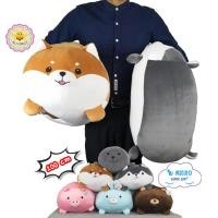 ราคา ตุ๊กตากระปุก 100 ซ.ม.(วิธีวัดขนาดดูในรูป) ใยไมโครนุ่มมาก หมาฮัสกี้ หมาชิบะ กระต่าย หมีช็อคโก้ หมู แมวน้ำอุ๋งๆ alicdolly (1872349506)