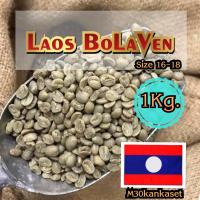 ราคา ✅ สารกาแฟ ลาว โบลาเวน Laos Bolaven (23544100573)