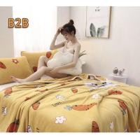 ราคา ผ้าห่มนาโนลายการ์ตูน ขนาด 4.5 ฟุต (11455516375)