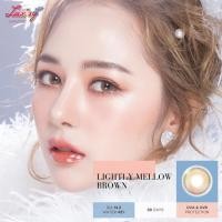 ราคา คอนแทคเลนส์Lightly Mellow Brown / Gray (Luxzylens) ขนาดมินิ (5584164762)