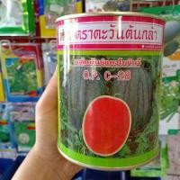 ราคา (100 กรัม) เมล็ดแตงโมกินรี C-28 กป. ตราตะวันต้นกล้า (4419179471)