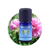ราคา Oshadhi - Rose Blossom, Bulgaria essential oil 1 ml (9327506507)