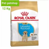 ราคา Royal Labrador puppy อาหารลูกสุนัขลาบาดรอ ขนาด 12kg. (20163427357)