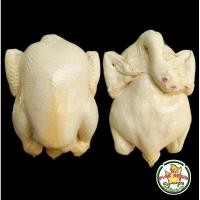 ราคา โมเดล ไก่ปลอม ขนาด 2 โล แบบขาว ตัวละ 630 บาท ขนาดกว้าง 17 ยาว 25 cm ไก่เรซิ่น ไก่ต้มปลอม โมเดลไก่ ไก่เทียม ไก่จำลอง (2223007529)