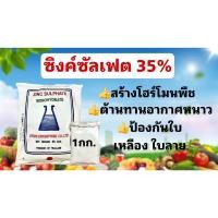 ราคา ซิงค์ซัลเฟต 35% สังกะสีซัลเฟต Zinc Sulphate monohydrate ขนาด 1 กิโลกรัม (19166594566)