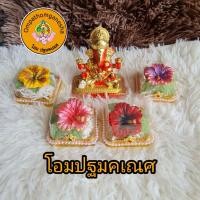 ราคา ดอกชบา ดอกชบาถวายองค์เทพ ดอกชบาถวายพระพิฆเนศ ดอกชบาปลอม (19335230333)