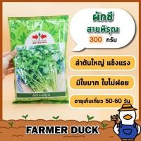 ราคา ผักชี สายพิรุณ ( ส่งฟรี ) สายพิรุน เมล็ดพันธุ์ ผักชี ตรา ศรแดง บรรจุ 300 กรัม (25962784678)