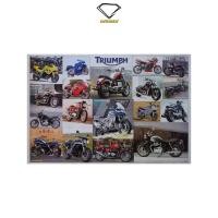 ราคา Intelligent | โปสเตอร์ TRIUMPH | ขนาด 23.5x34.5 นิ้ว | x 1 แผ่น ไทรอัมพ์ รถมอเตอร์ไซค์ โปสเตอร์โฆษณา โปสเตอร์แบรนด์ (21272222594)