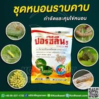 ราคา อีมาเมกตินเบนโซเอต 100 กรัม กำจัดหนอนข้าวโพด ข้าว อ้อย หนอนม้วนใบ หนอนเจาะ หนอนกระทู้ คูลเกษตร Kl59 (16078515575)