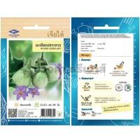 ราคา เมล็ดมะเขือเปราะจาว รหัส KTA288 (24255027537)