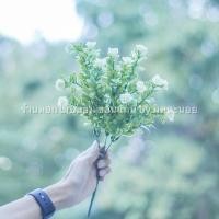 ราคา ช่อดอกกุหลาบ ดอกกุหลาบปลอม ช่อดอกไม้ปลอม สีครีม ใบเล็กๆสีเขียว (4065878839)