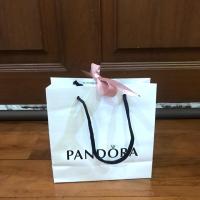 ราคา ถุงแพนโดร่า Pandora (2793634949)