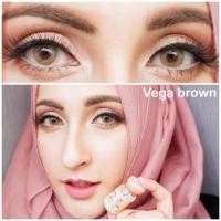 ราคา Guess Secrets Vega ( Bena ) brown gray สายตา -00 ถึง -1000 Contactlens บิ๊กอาย คอนแทคเลนส์ ราคาถูก (11329283112)