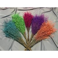 ราคา ดอกแคสเปียร์ แคสเปียส์ แคสเปีย Caspia ดอกไม้แห้ง ดอกจริง ช่อใหญ่ ดอกไม้แห้ง ดอกไม้จริง ดอกแคสเปีย พร้อมส่ง (21063929967)