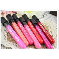 ราคา ลิปจูบไม่หลุด Menow Long Lasting Matte Lipgloss (16798113)