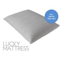 ราคา LUCKY Pure Latex Pillow หมอนยางพารา 100% (812487203)