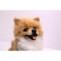 ราคา ตุ๊กตาสุนัขใยขนแกะญี่ปุ่น พันธุ์ปอมเมอเรเนียน (Pomeranian) แบบสีเข้ม (3840944588)