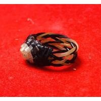 ราคา แหวนหางช้างปลอกเก้าสามกษัตริย์ (16584483451)