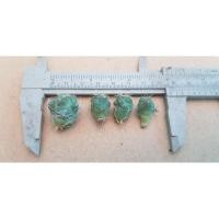 ราคา หน่อช้างแคคตัส...^^^ (8327510289)