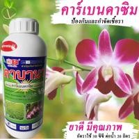 ราคา คาบาน่า หัววัว ขนาด 1 ลิตร คาเบนดาซิม คาร์เบน ยาเชื้อราคาเบน คาเบนดาซิม50 คาร์เบนดาซิมน้ำ คาร์เบนดาซิม (12019591295)