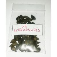 ราคา ลดราคาถูกพิเศษ เมล็ดแอปเปิ้ลแดง red apple seeds เมล็ดพันธุ์นำเข้า แอปเปิ้ลแคระ แอปเปิ้ลจิ๋ว ไม้บอนไซ 50 เมล็ด (3607280232)