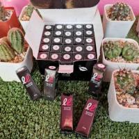 ราคา ลิปจิ๋ว ลิปเลิฟเวอร์ °• LIP LOVER•° (3733611039)