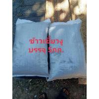 ราคา ข้าวเหนียวเขี้ยวงู(5กก.) (14606769448)