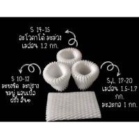 ราคา ตาขายโฟมห่อผลไม้ โฟมเส้นเล็ก (S) ขนาด 10 Cm สีขาว (8334731363)