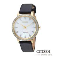 ราคา CITIZEN Eco-Drive FE7042-07D Swarovski Lady's Watch (นาฬิกาผู้หญิงพลังงานแสง) (6654286288)