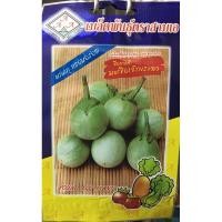 ราคา มะเขือเจ้าพระยา ลูกดก (7459842394)