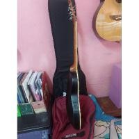 ราคา กีต้าร์หลังเต่าvivid39นิ้ว (20083455107)