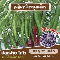 ราคา เมล็ดพันธุ์พริกหนุ่มเขียว แบ่งขาย 20 เมล็ด พริกหนุ่มลูกผสม (ซื้อ 5 แถม 1)✨ (15647431821)