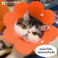 ราคา คอล่าแมว ปลอกคอกันเลีย คอลล่าแมวกันเลีย กันเลียสุนัข คอลล่ากันเลีย ปลอกคอโฟม ปลอกคอดอกไม้ (23851318191)