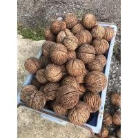 ราคา ลูกตีนเป็ดเล็กใหญ่คละกันไป (20511919294)