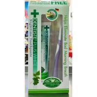 ราคา DENTISTE ยาสีฟัน เดนทิสเต้ พลัสไวท์ ไนท์ทาม ทูธเพลสท์ 100 กรัม แถมแปรงสีฟัน (10003616855)