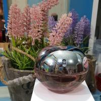 ราคา น้ำหอมDKNY BE DELICIOUS 100 ML (1612267943)