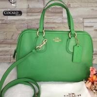ราคา New Coach งานช็อป หมอน9นิ้ว (1299279654)