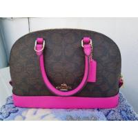 ราคา โดม coach 10 นิ้วจัดโปร (1502654960)