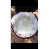 ราคา มะพร้าวกะทิทับสะแกจ้า (14213877104)