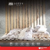 ราคา LOTUS ปลอกหมอนข้าง 2ชิ้น รุ่น Soho รหัส LT-SO-01B (14949747610)