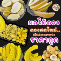 ราคา มะม่วงเบา-มะม่วงกระตอย-มะปรางดอง-มะขามแช่อิ่มฝักใหญ่-องุ่นดองจี๊ดจ๊าด-มะม่วงแช่อิ่ม-ผลไม้รวม (แถมพริกเกลือ) คัดเกรด (25881791789)
