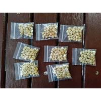 ราคา เมล็ดดอกชมจันทร์อินทรี1ชุดมี30เม็ด (3171258573)