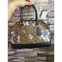 ราคา กระเป๋าcoachแท้ โดมขนาด10นิ้ว (23830137810)