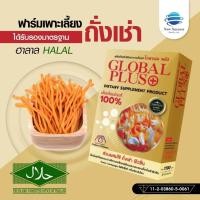 ราคา โกลบอลพลัส คอร์ดี้ ถั่งเช่าแท้ 100% (24256562277)