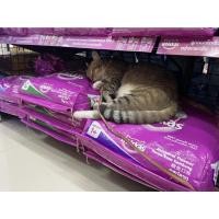 ราคา วิสกัสอาหารเม็ด 7 kg รส ปลาทู ปลาทะเล ทูน่า (12107347848)