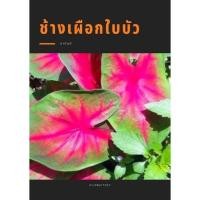 ราคา บอนสีช้างเผือกใบบัวขนาดตกไซส์ (8793418782)