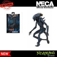 ราคา NECA Alien vs Predator Arachnoid Alien (Movie Deco) 7" Scale Action Figure (19260034518)